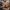 Summer Party 2026 - FRI Young Professionals x Rambøll Young Professionals